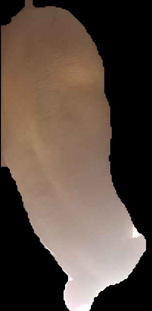 Crop