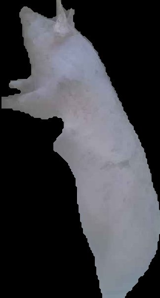 Crop