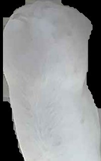 Crop