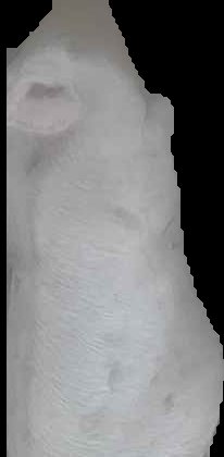 Crop
