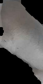 Crop