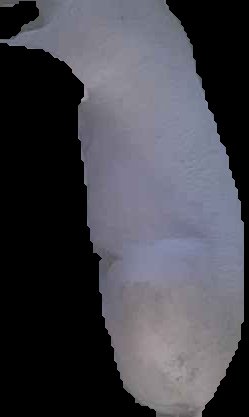 Crop