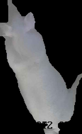 Crop