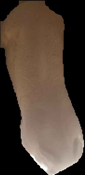 Crop