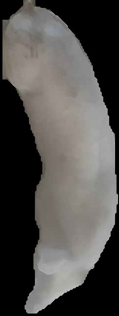 Crop
