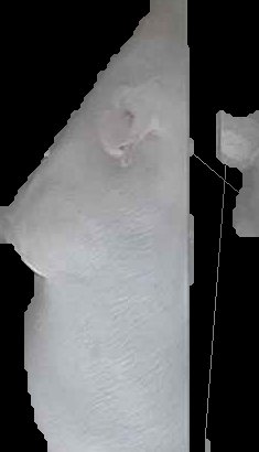 Crop
