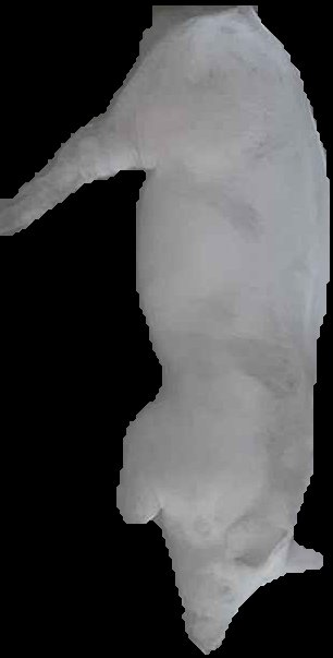 Crop