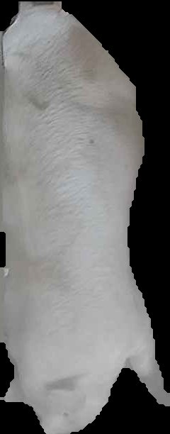 Crop