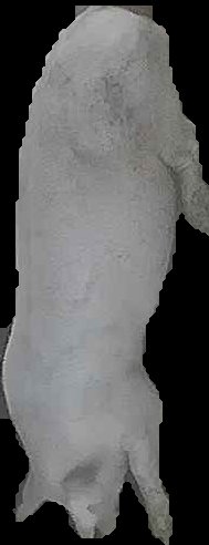 Crop