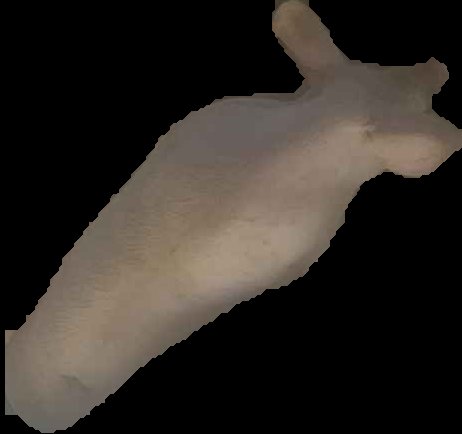 Crop