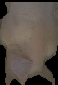 Crop