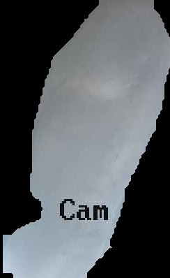Crop