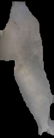 Crop