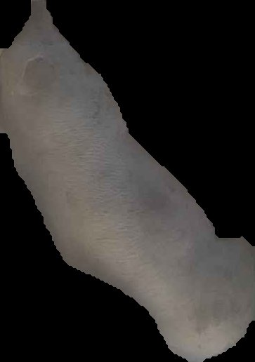 Crop