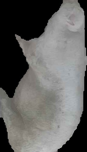 Crop