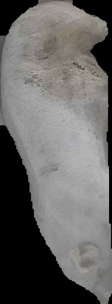 Crop