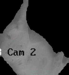 Crop