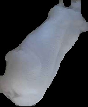 Crop