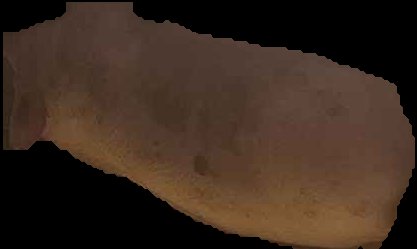 Crop