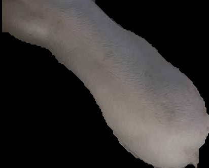 Crop