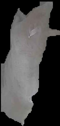 Crop