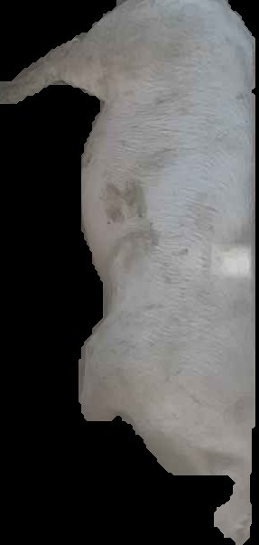 Crop