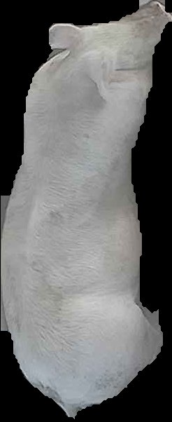 Crop