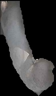 Crop