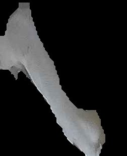 Crop