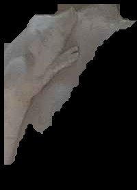 Crop