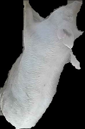 Crop