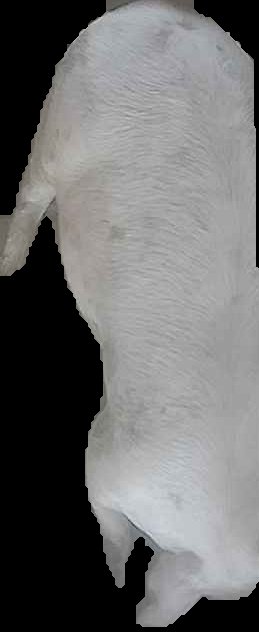 Crop