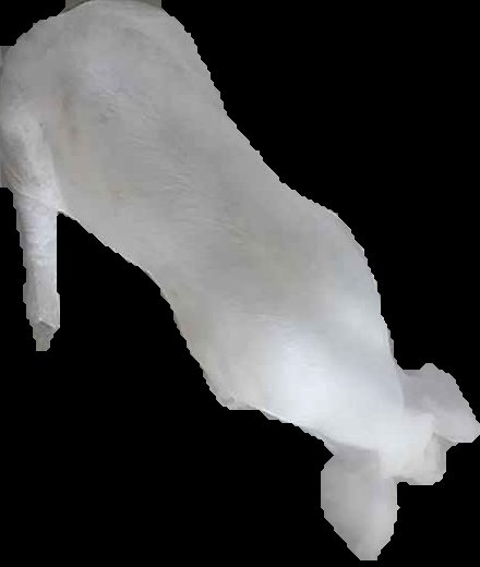 Crop