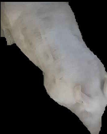 Crop