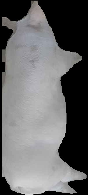Crop
