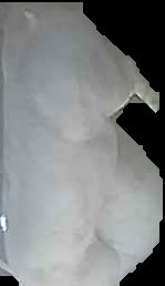 Crop