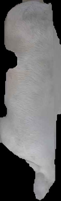 Crop