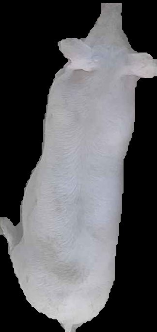 Crop