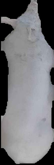 Crop