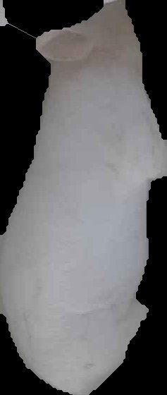 Crop