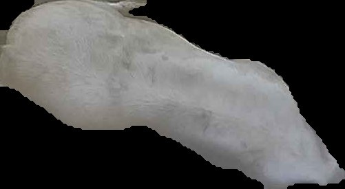 Crop