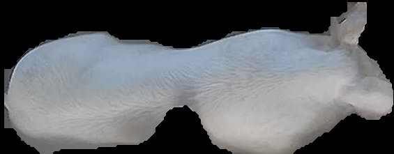 Crop