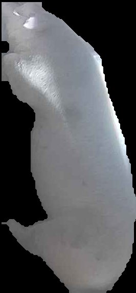 Crop