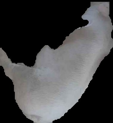 Crop