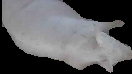 Crop