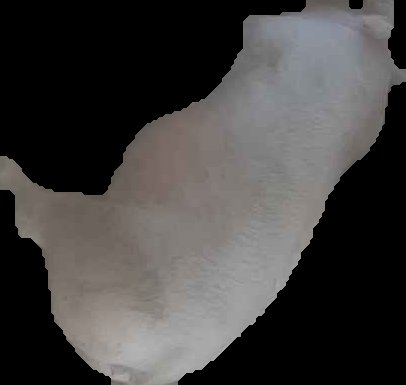 Crop