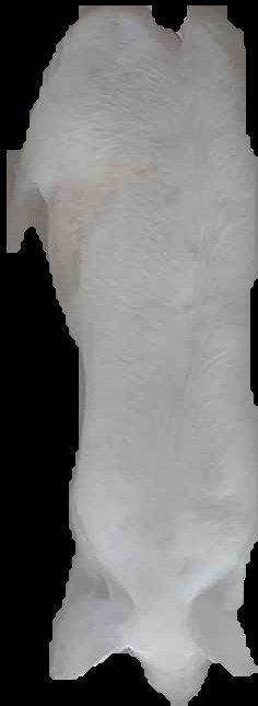 Crop