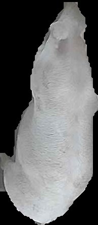 Crop
