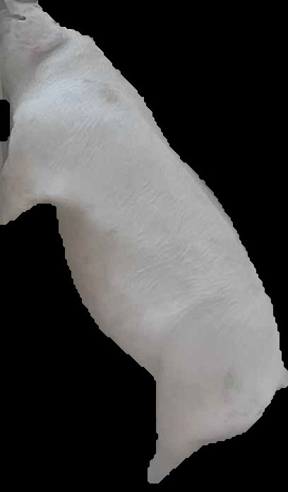 Crop