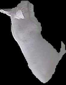 Crop